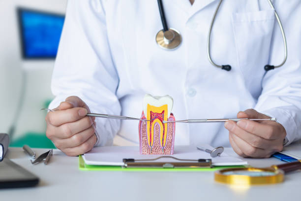 Best Tooth Pain Emergency Relief  in Port Washington North, NY